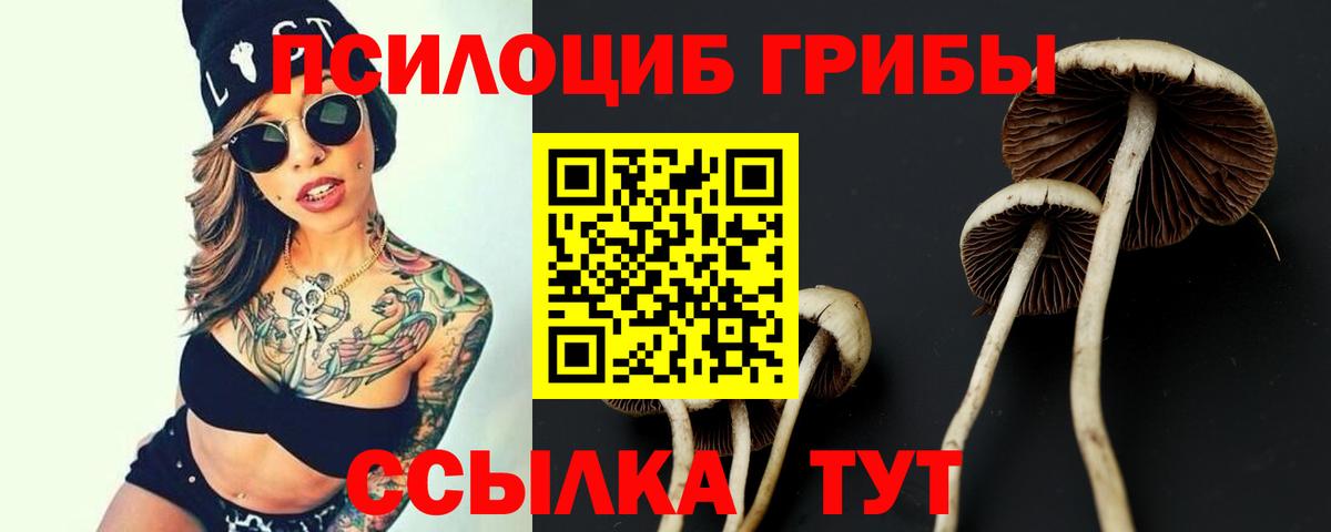Галлюциногенные грибы прущие грибы Белогорск